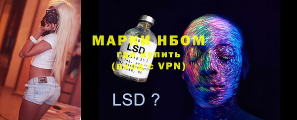 PSILOCYBIN Бронницы