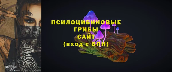 PSILOCYBIN Бронницы