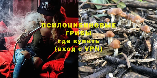 PSILOCYBIN Бронницы